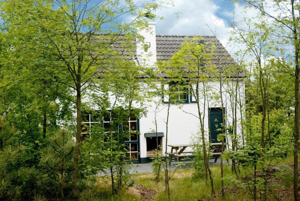 Comfort Holiday Home,709042624:JPEG