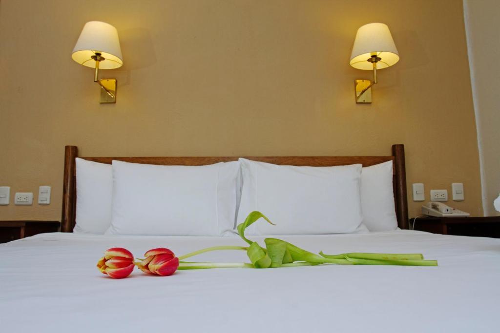Special Offer - Double Room with Sea View