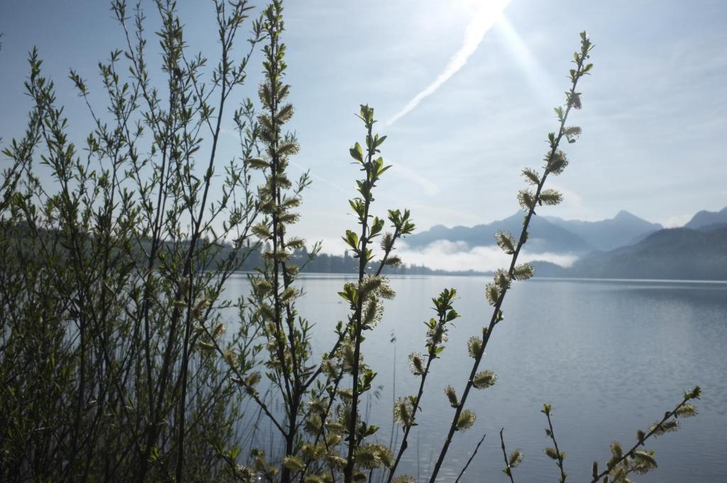 Comfort Doppelzimmer mit Balkon und Seeblick