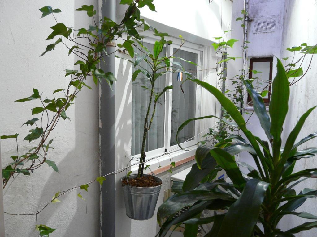 Habitación Doble Económica - 1 o 2 camas