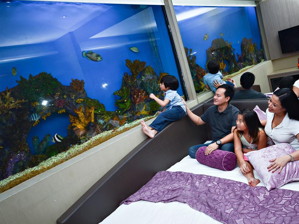 Habitación Doble Aqua