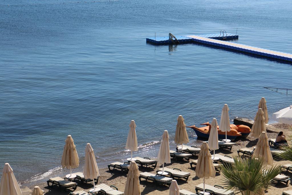 Doppel-/Zweibettzimmer mit Meerblick