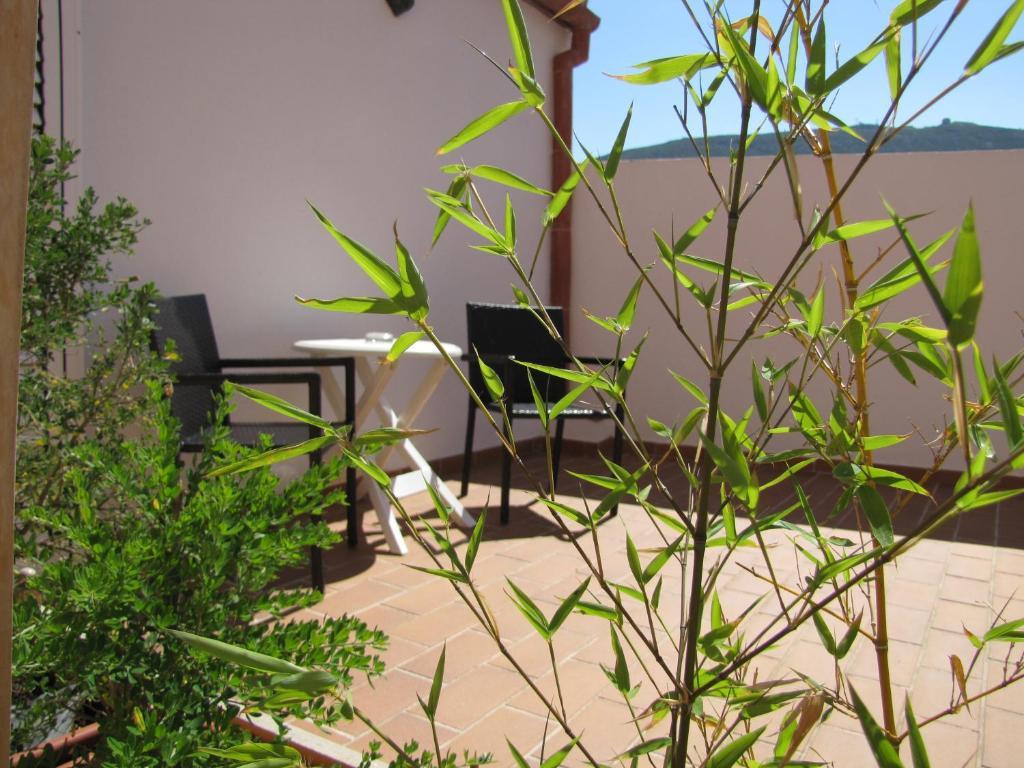Habitación Doble con terraza - 2 camas