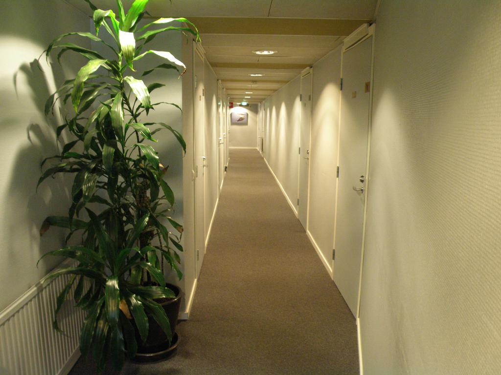 Economy Zweibettzimmer