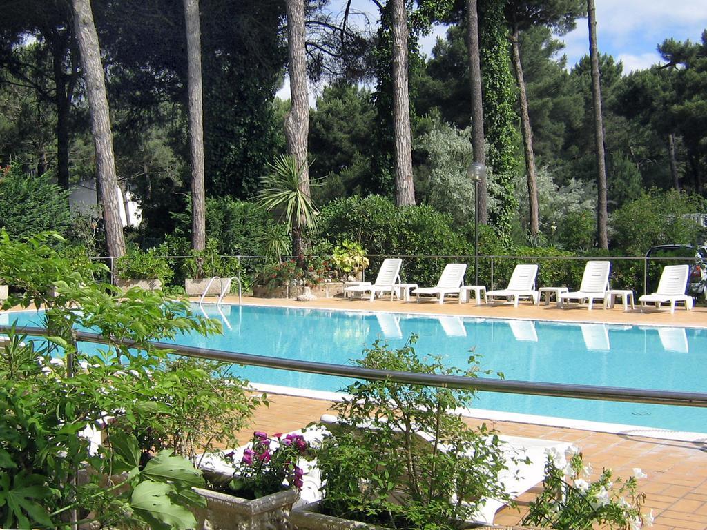 Familiekamer - Zolder