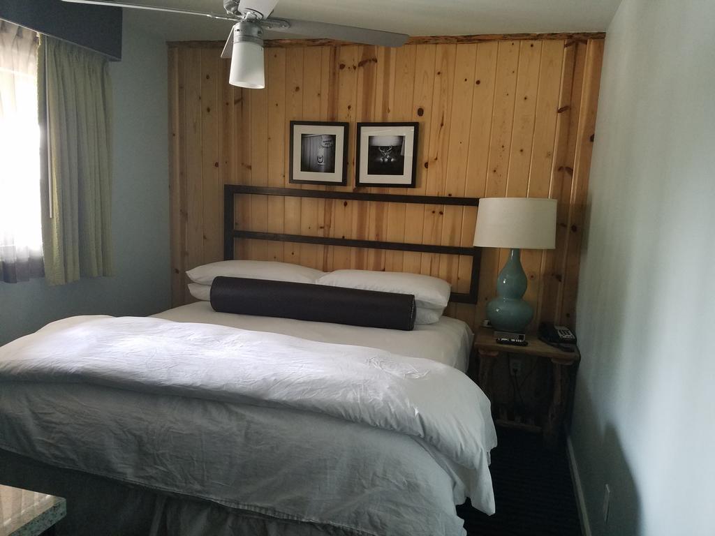 Suite con cama extragrande y sofá cama