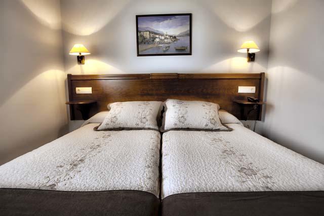 Double or Twin Room,13091088:JPEG