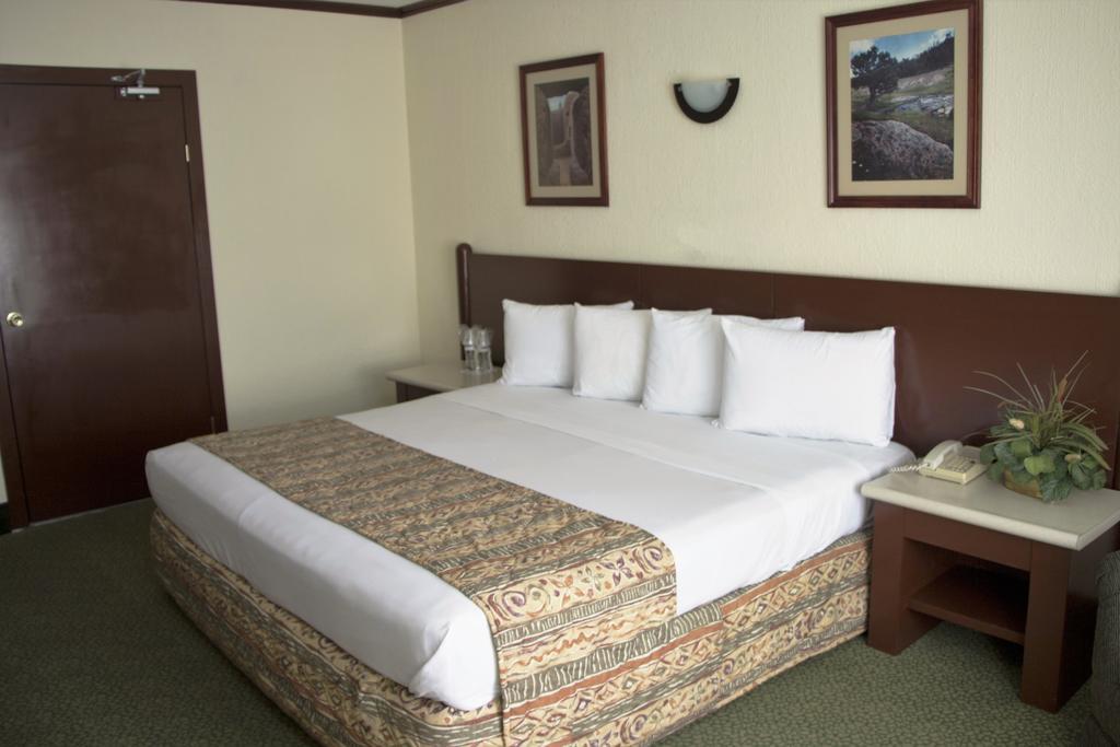 Habitación con cama extragrande.