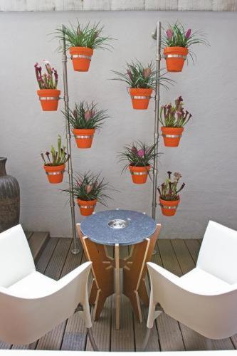 Mandarijn Suite