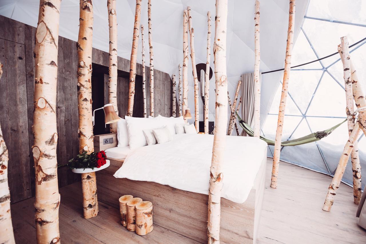 Suite Forest Pod