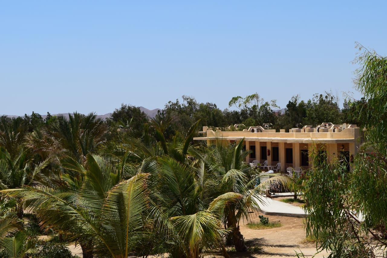 Bungalow con vistas al jardín