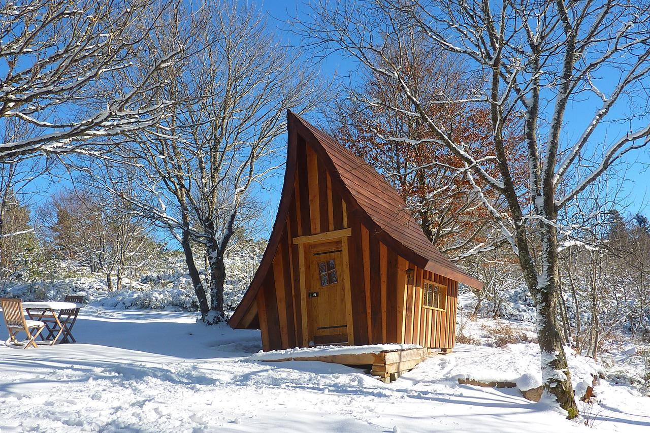 Wooden Cabin,549415671:JPEG