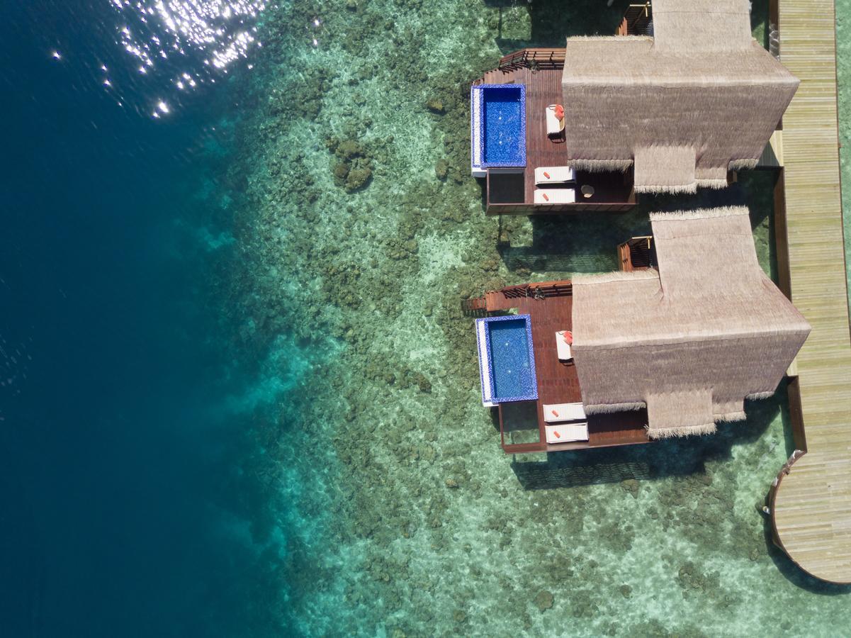 Wasservilla Reef Pool