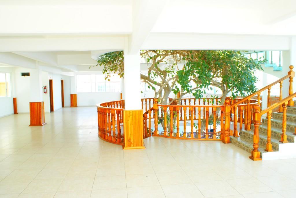 Habitación Individual Económica