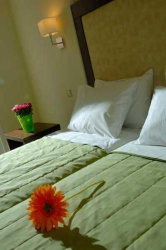 Superior Studio mit Doppelbett
