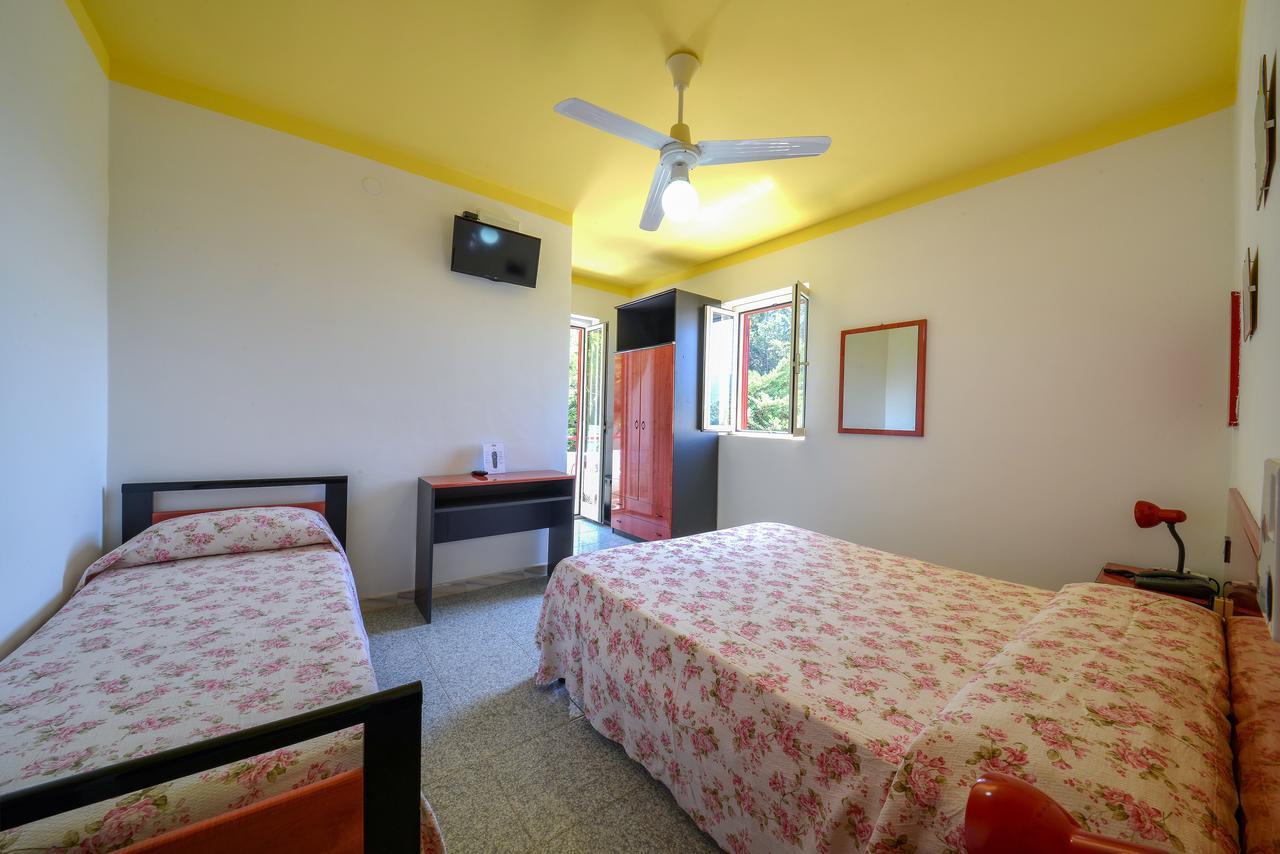 Double or Twin Room Garden View