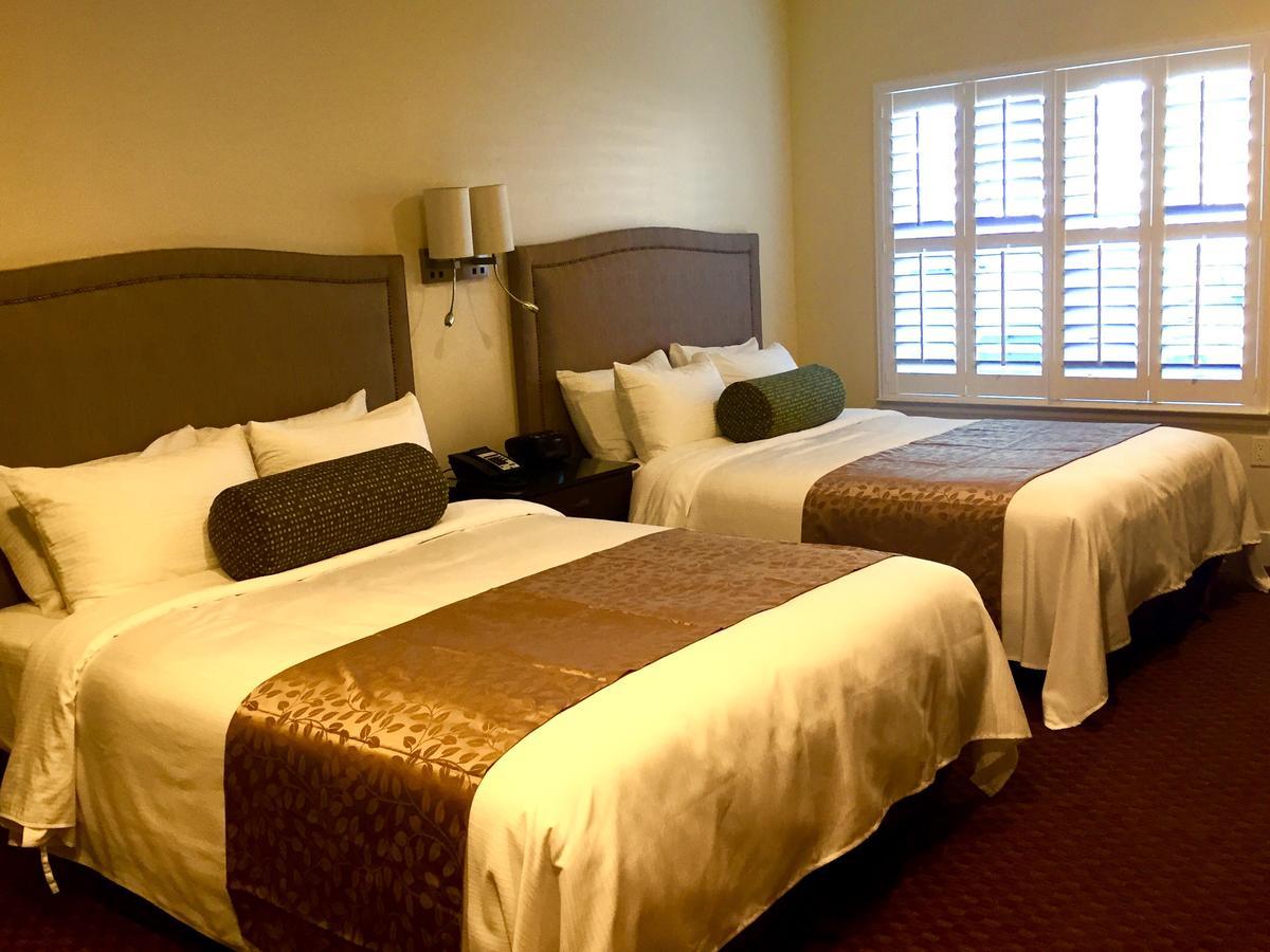 Superior Queen Room