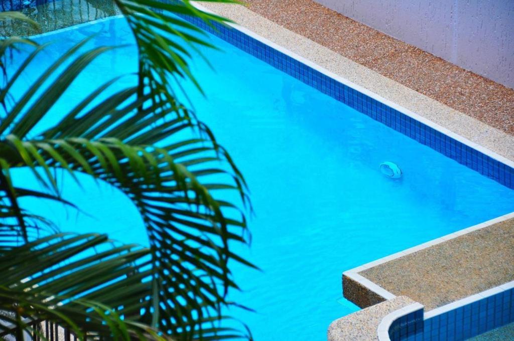 One-Bedroom Apartment with Pool View