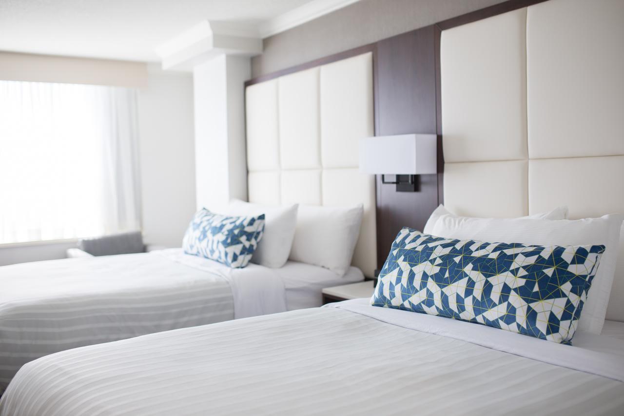 Suite Preferred con 2 camas grandes y sofá cama