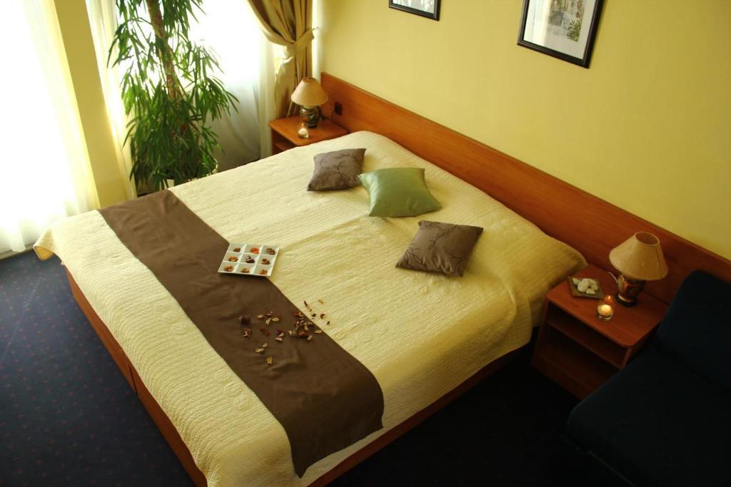 Aanbieding - Wellnessarrangement - Tweepersoonskamer met 1 of 2 Bedden en Balkon