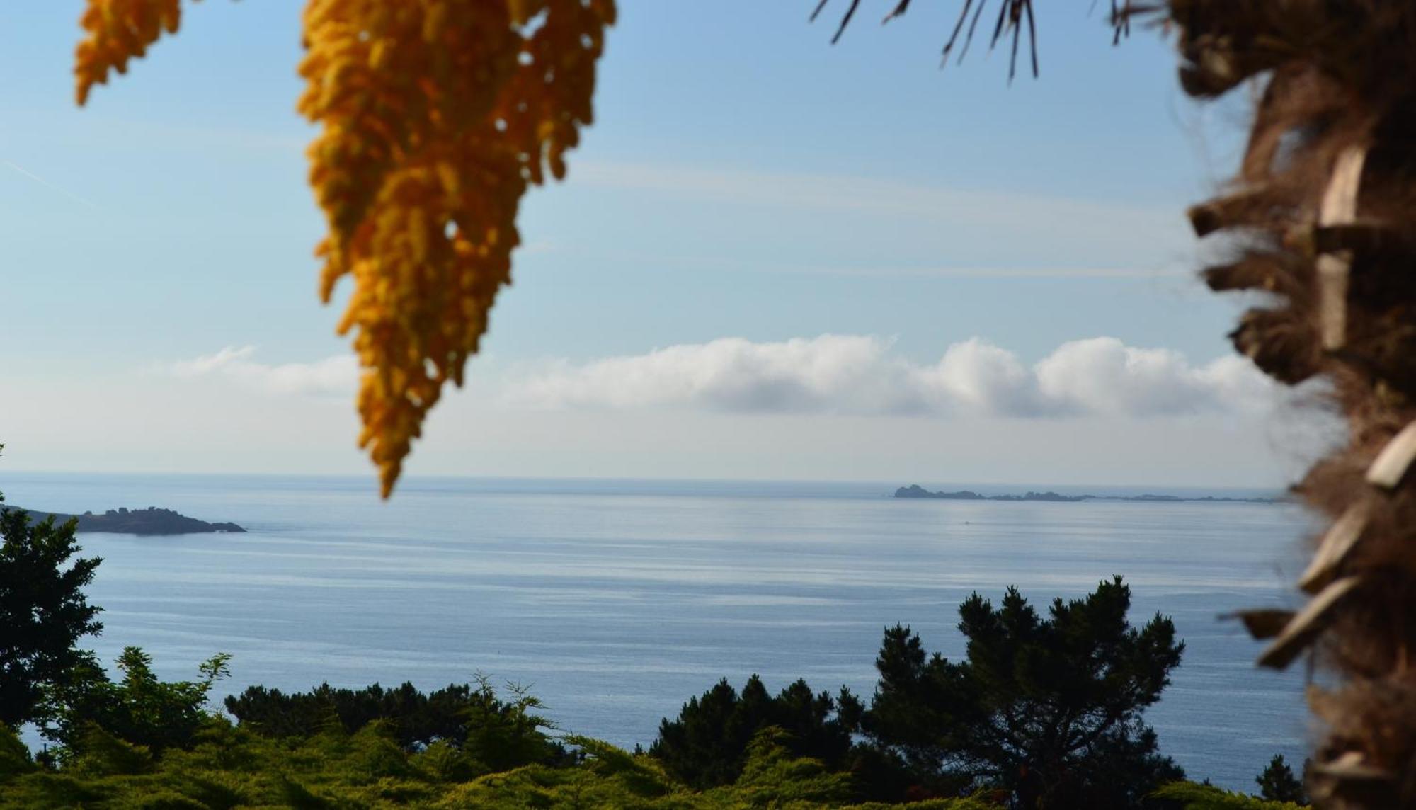 Suite mit Terrasse und Meerblick