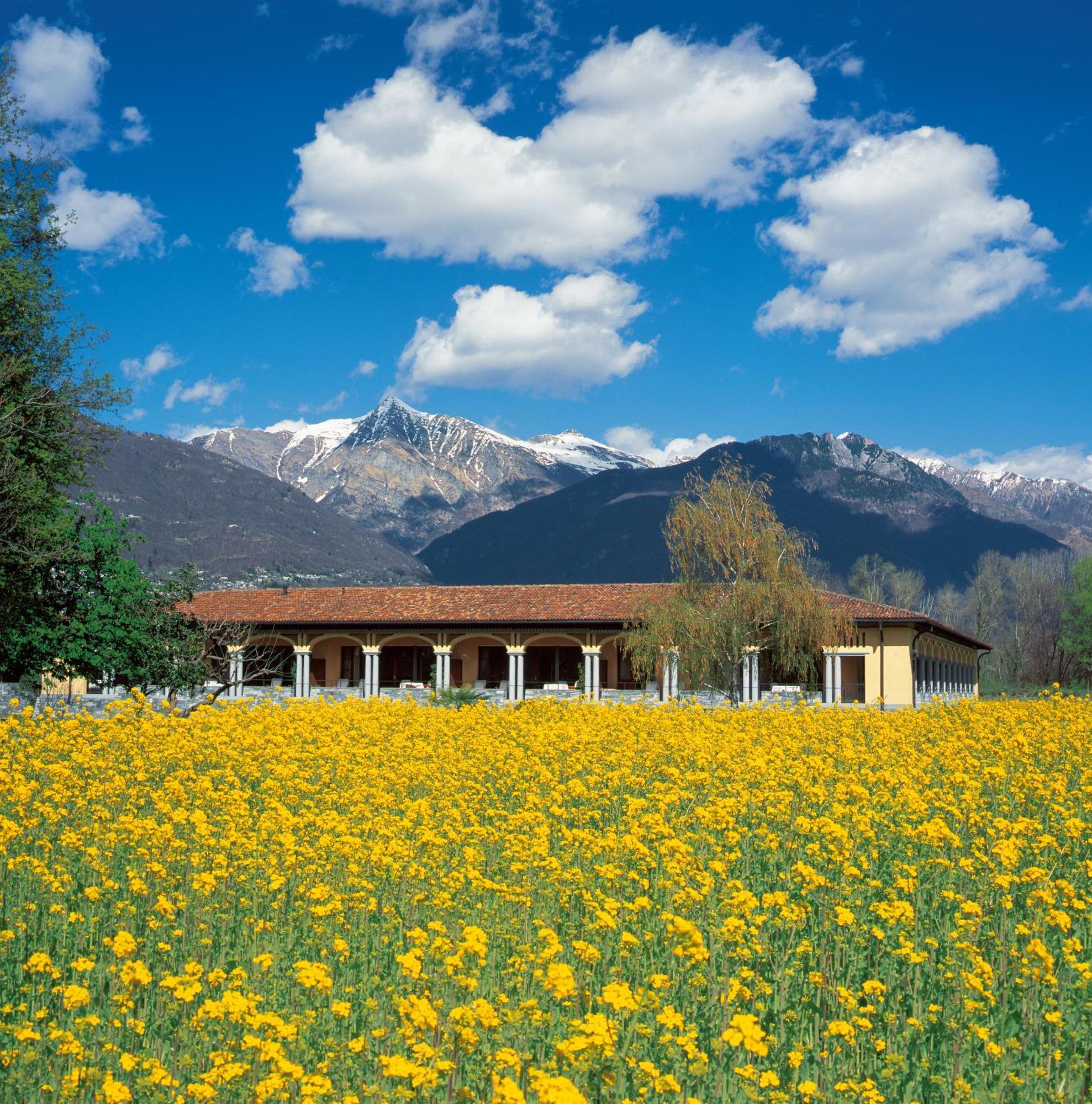 Retreat Loggia Suite,931014907:JPEG
