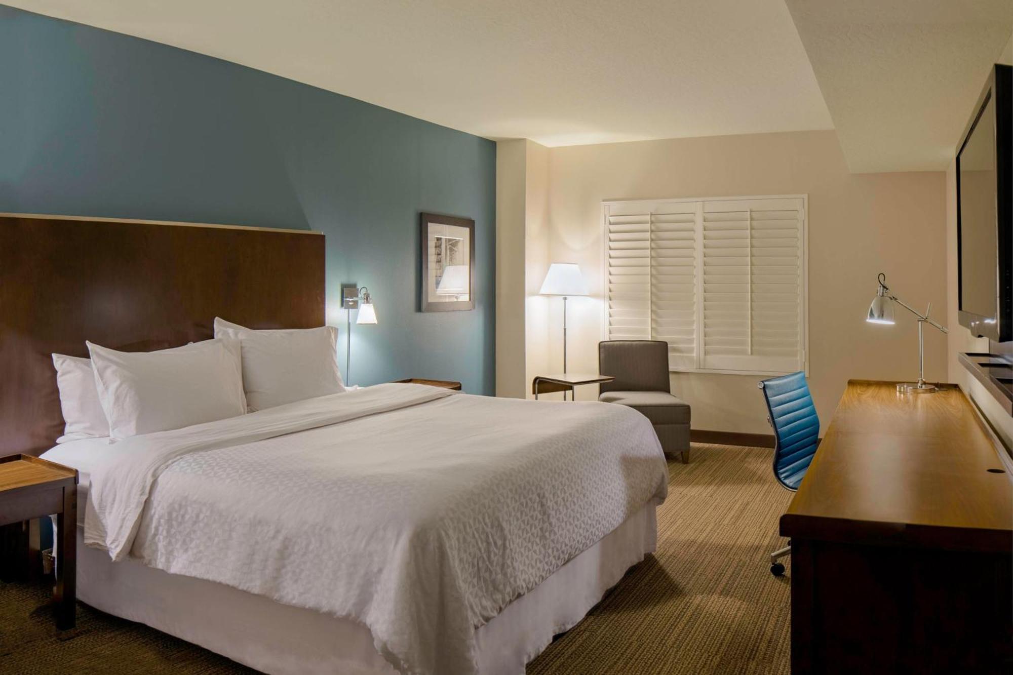Guest room, 1 King, City view