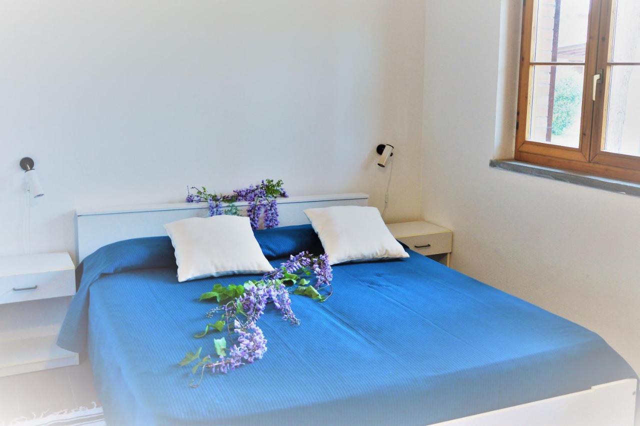 Superior One-Bedroom Apartment