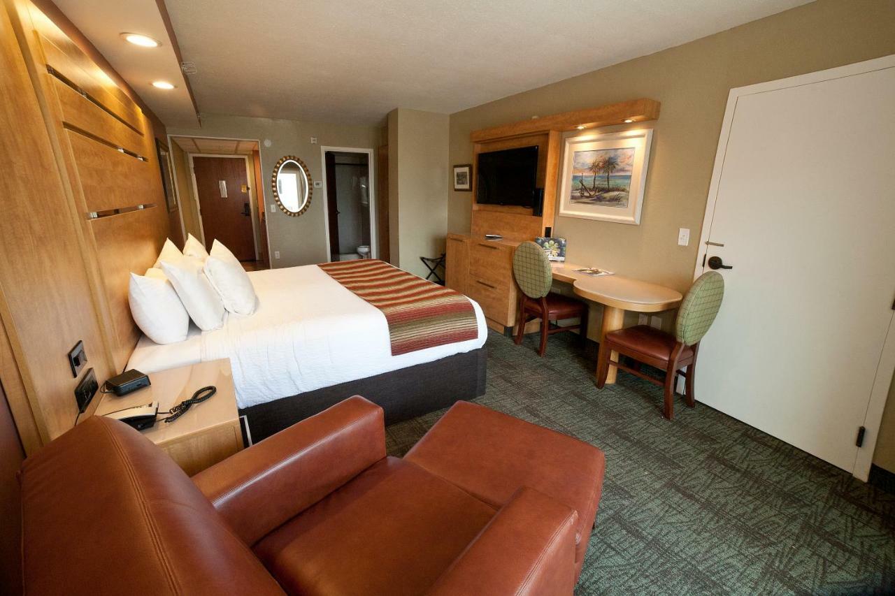 King Room Partial Ocean View,805439253:JPEG