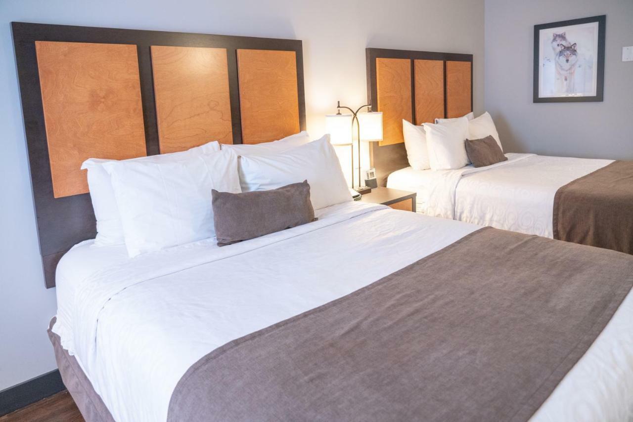 Superior Room 2 Queen Beds,806989302:JPEG
