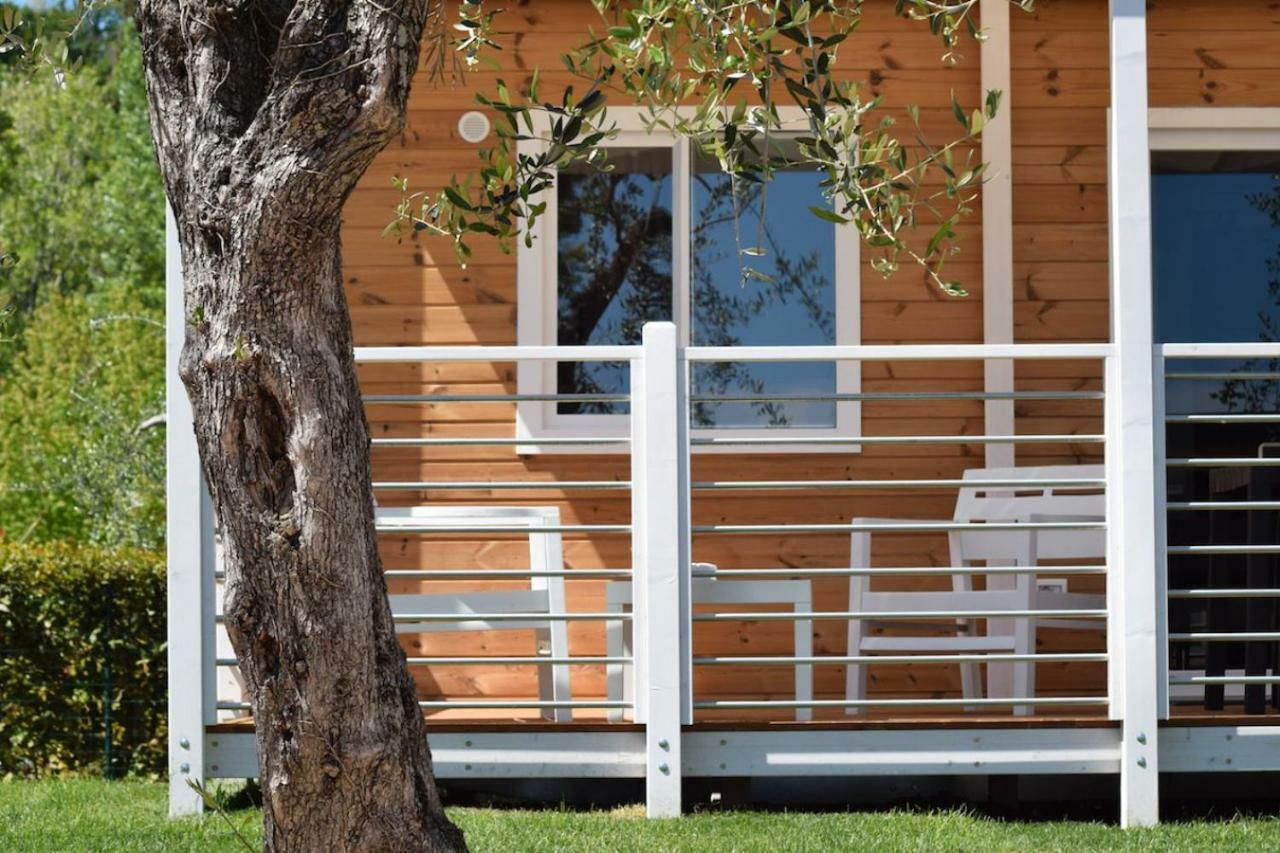 Two-Bedroom Mobile Home Pets Allowed