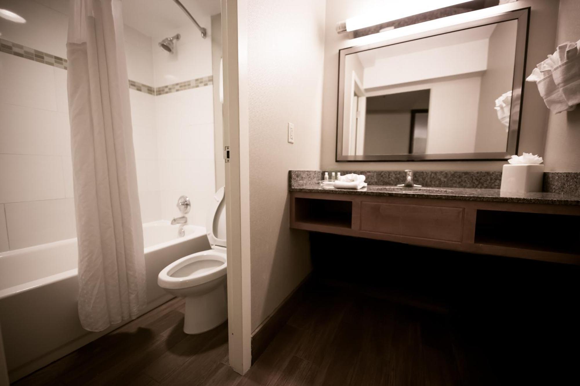 King Suite with Sofa Bed - Hearing Accessible