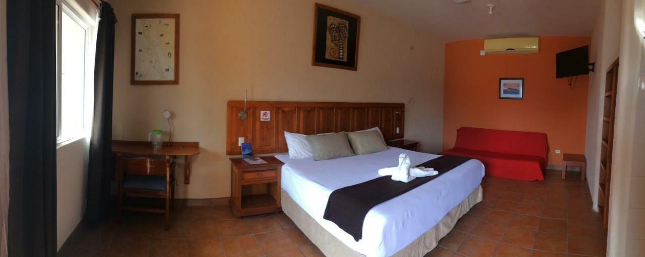 Habitación - 1 cama extragrande - No fumadores