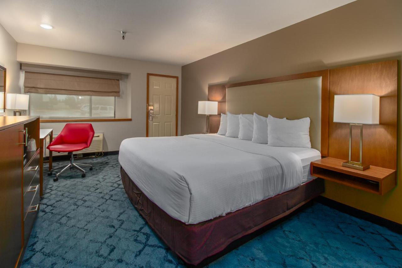 Standard King Room