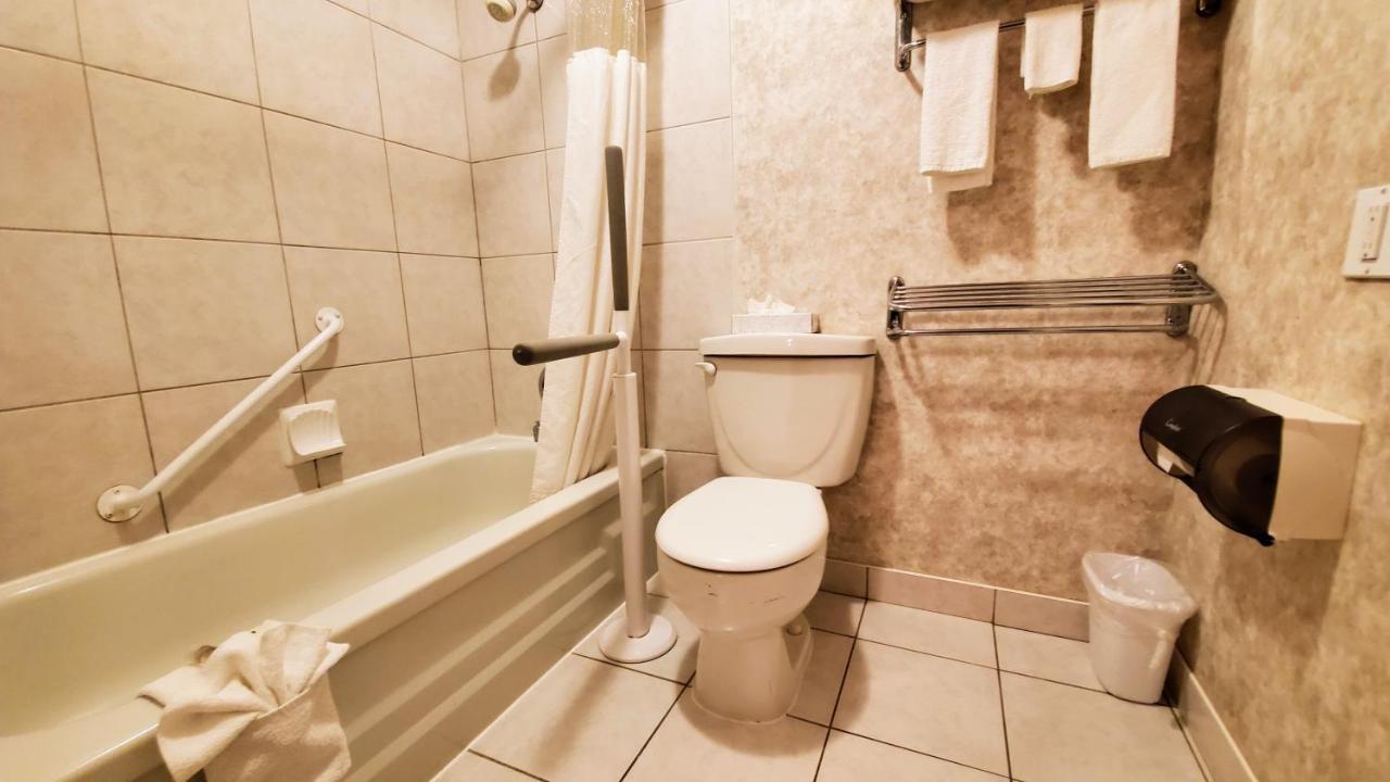 Kamer met 2 Queensize Bedden - Geschikt voor Gasten met een Lichamelijke Beperking/Rookvrij