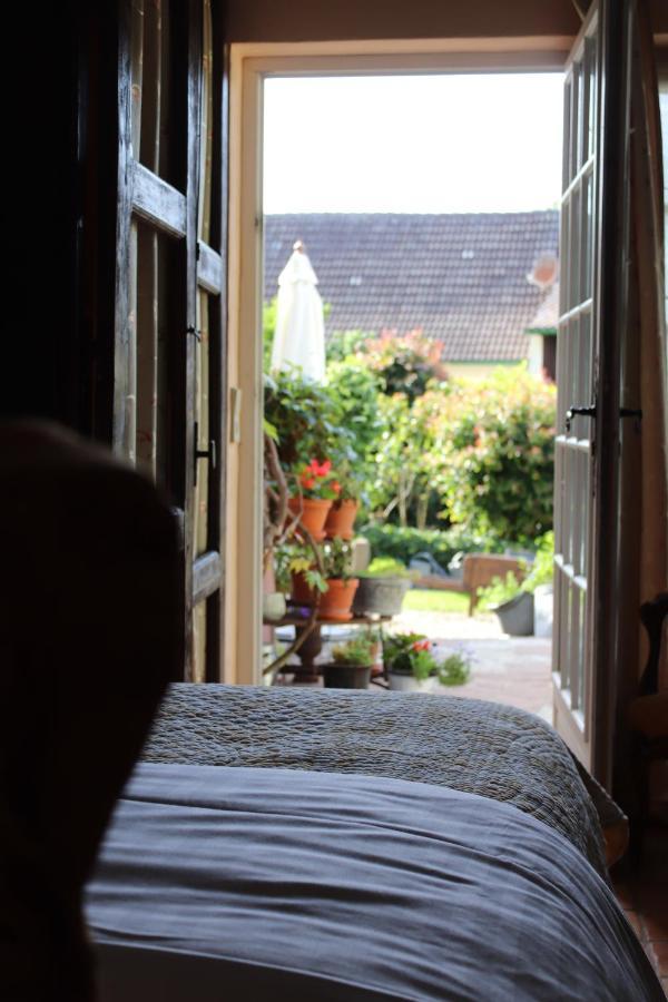 Single Room with Terrace