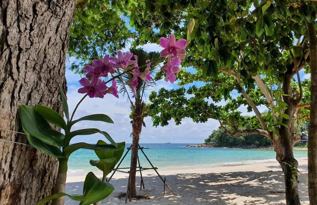 Blue Bay Bungalow-1