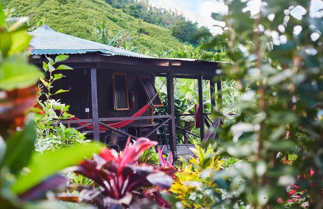 Hibiscus Valley Inn-1