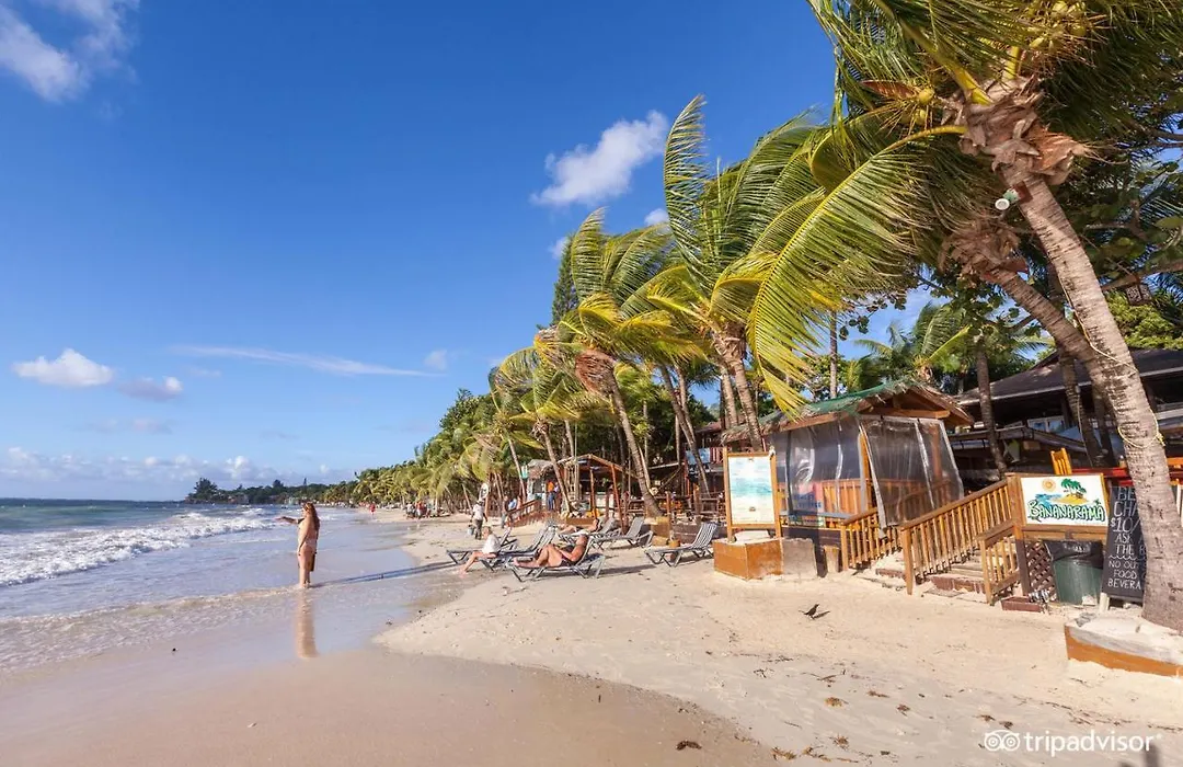 Bananarama Dive & Beach Resort-1