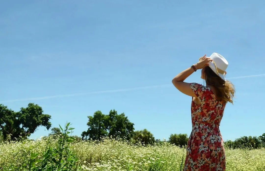 Quinta Da Saudade-1