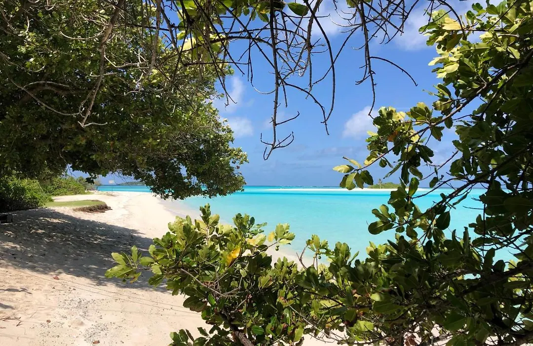 Royal Reef Stay-1