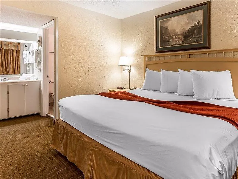 South Bay Inn (Adults Only)-1