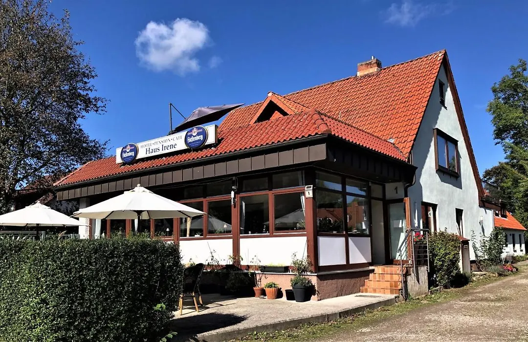 Hotel Pension Haus Irene-1