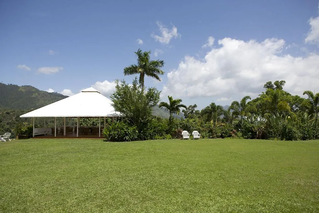 Strawberry Hill-1