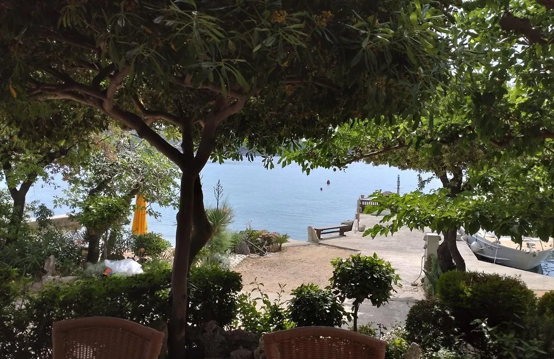 Guest House Palme-1