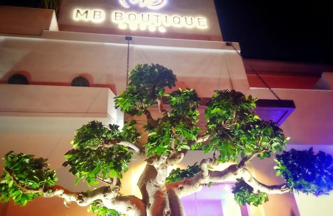 Mb Boutique Hotel - Adults Recommended-1