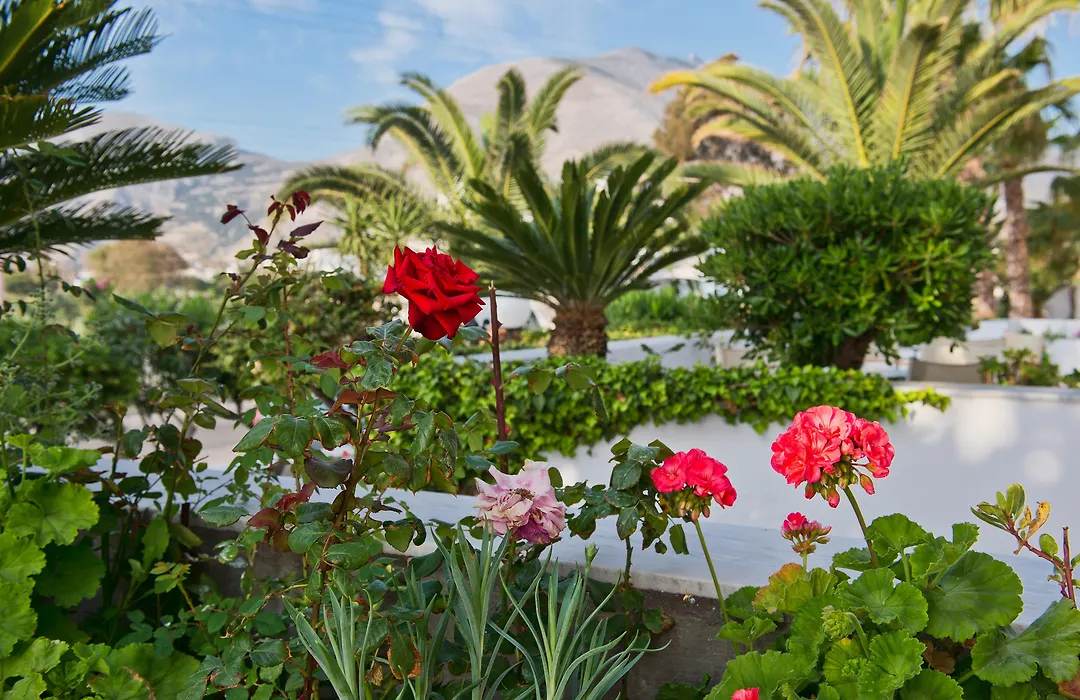 Makarios Hotel-1