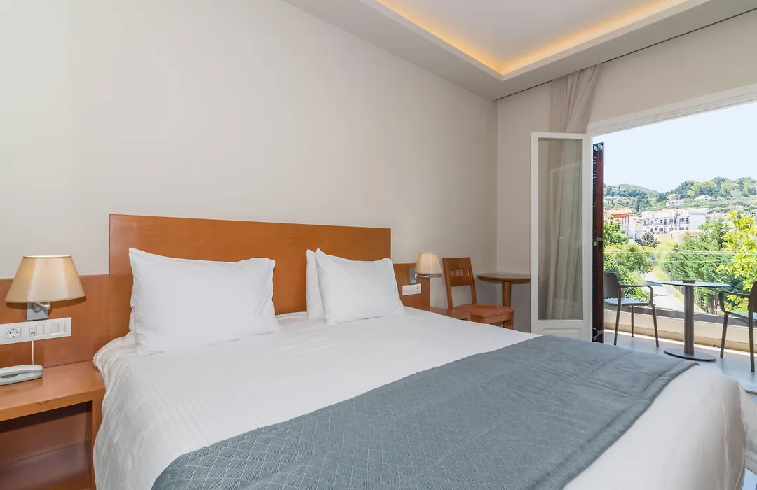 Hotel Palmyra-1