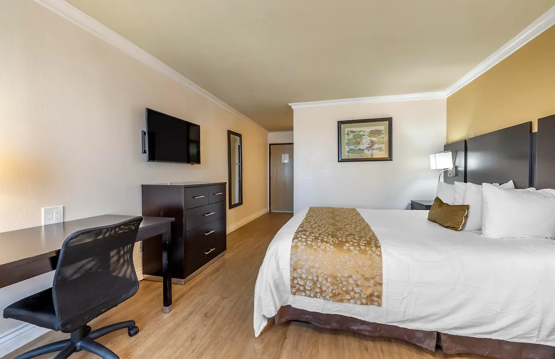 Best Western Plus South Bay Hotel-1