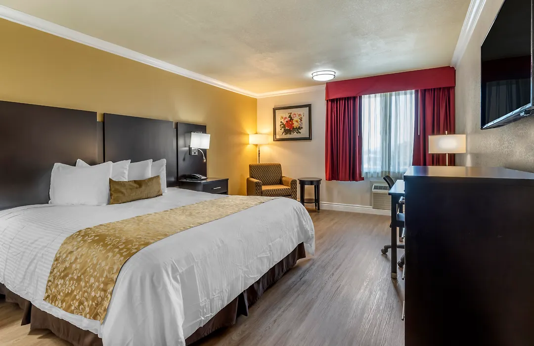 Best Western Plus South Bay Hotel-1